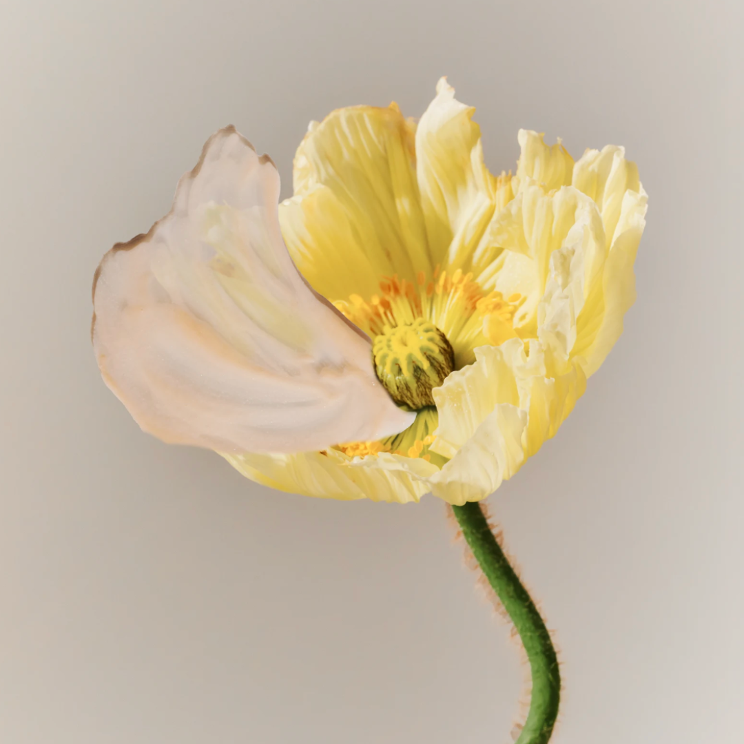 INCI : Le guide simple pour décrypter la composition de vos cosmétiques