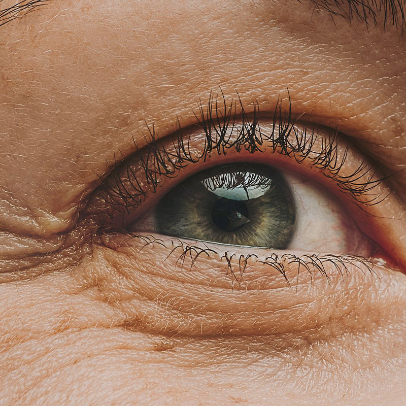 Complete Day & Night Routine (Face + Eye Serum, Day + Night Cream)