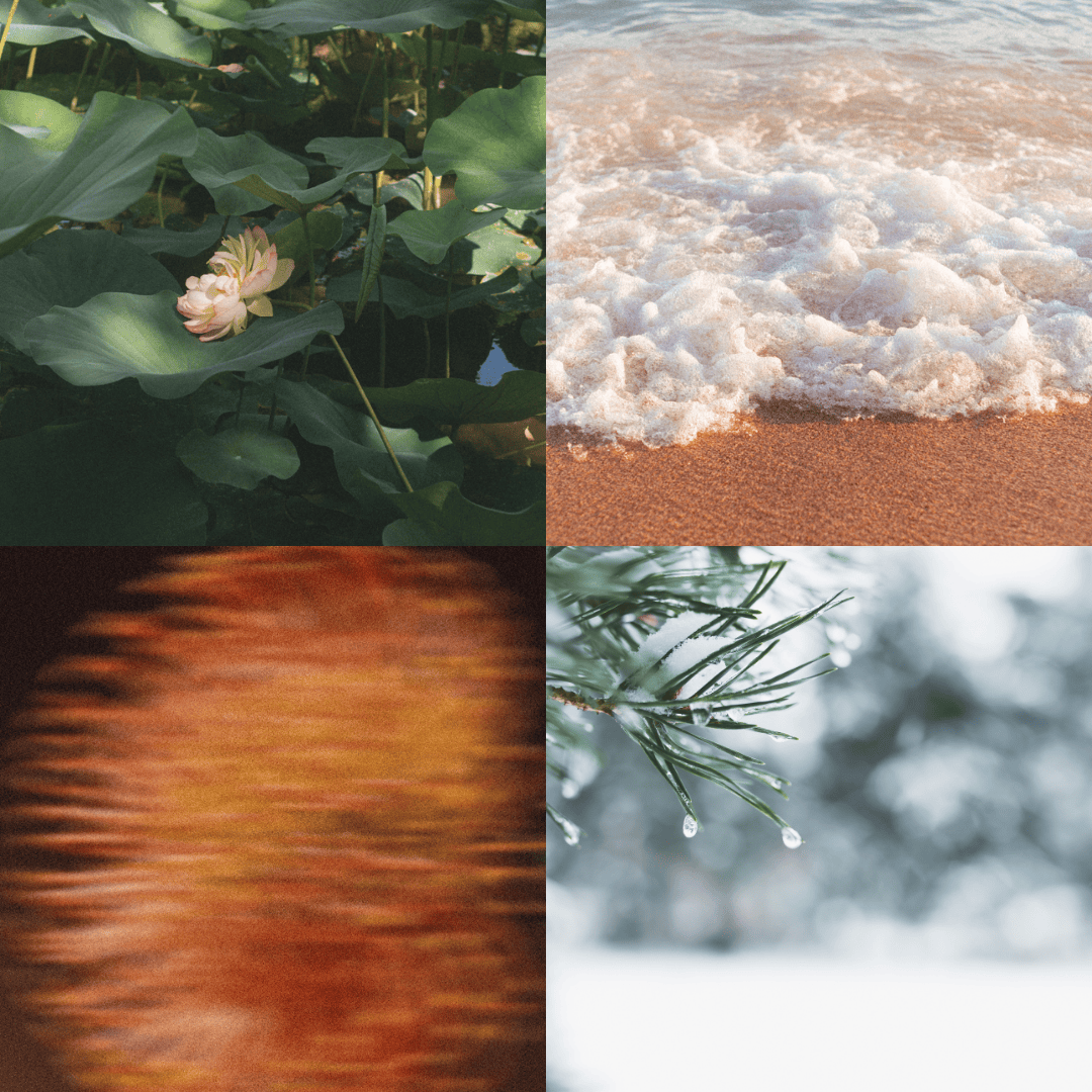 saisons-eczema